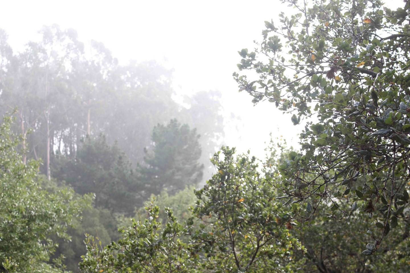 Canyon View C
